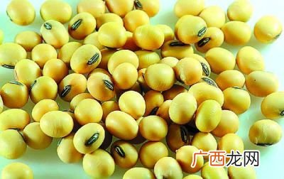 大豆类食物有哪些,大豆的主要组成成分是什么？