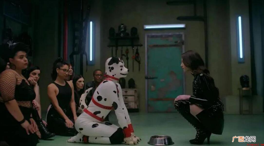 字母圈什么鬼来的?_英语学习 字母圈是什么意思
