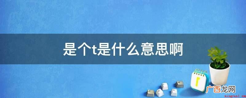 女生同性恋叫做Lesibian,扮演男生角色的叫做 是个t