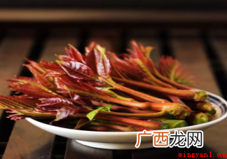 春菜抢先上市,香椿一枝独秀,一斤120元吓退消费者:凭啥这么 香椿价格为什么这么贵
