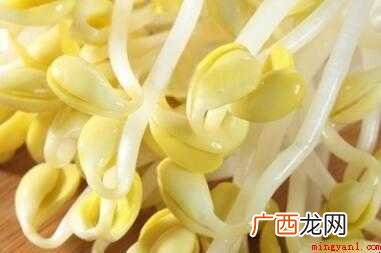 在家如何生黄豆芽