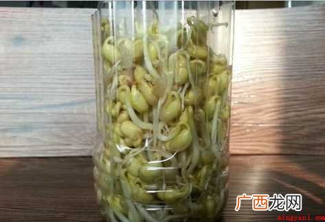 在家如何生黄豆芽
