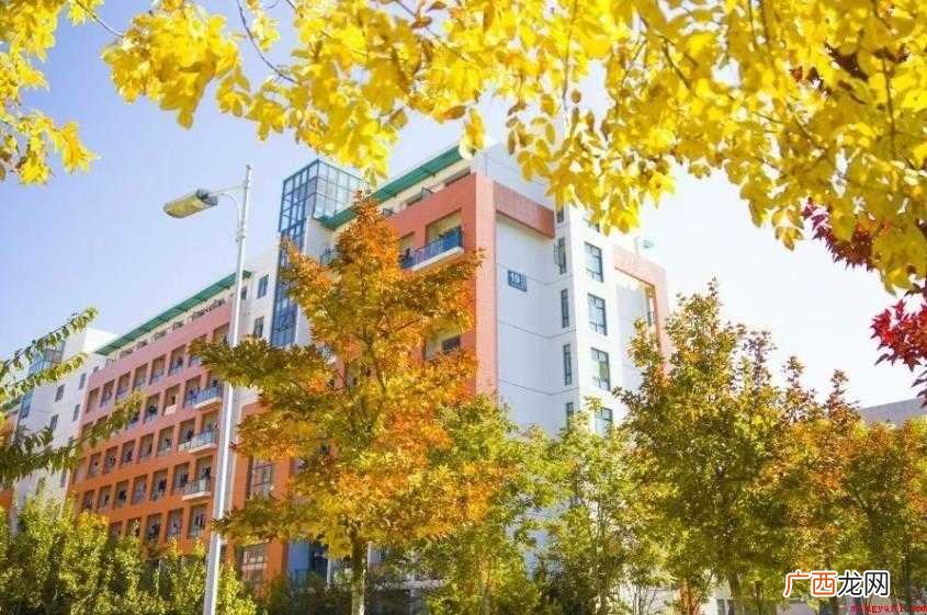 中国石油大学华东研究生院培养特色有哪些