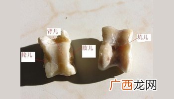 嘎拉哈是哪块骨头,猪嘎拉哈是前腿还是后腿?