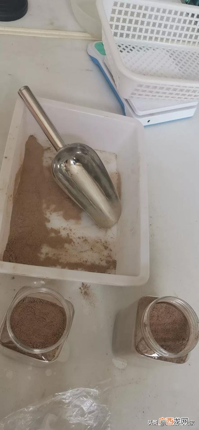 鹿茸一次吃多少克,鹿茸怎么吃？