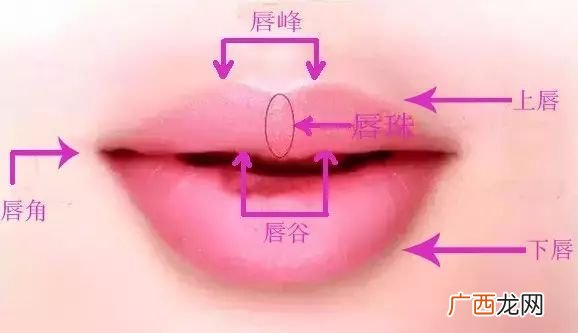 唇形分为哪几种及图片,男人嘴唇形状分类图片?