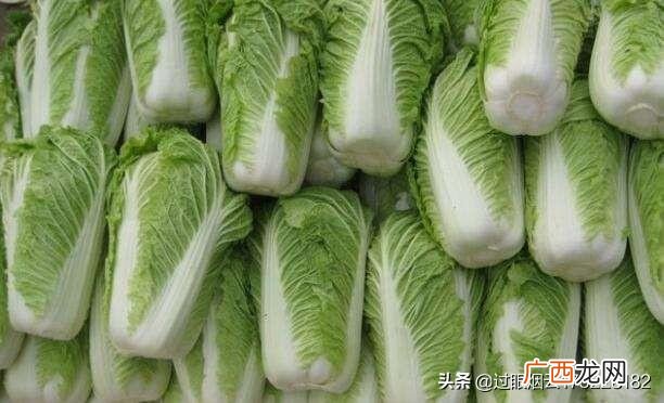 蔬菜之王是什么菜,到底哪一种才是蔬菜之王？