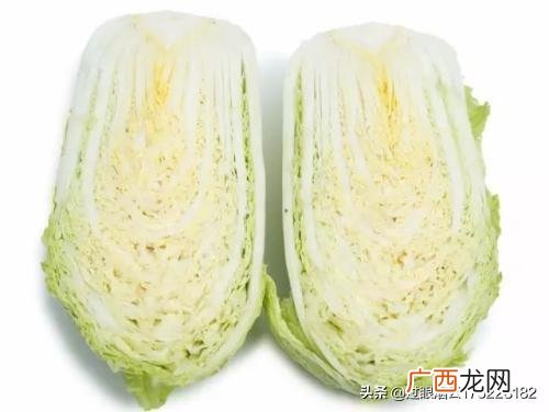 蔬菜之王是什么菜,到底哪一种才是蔬菜之王？