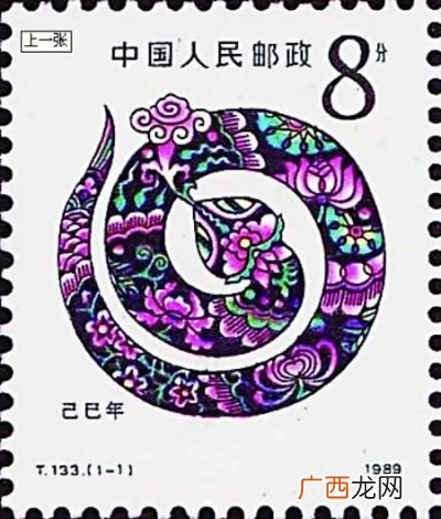 蛇年是哪一年,属蛇的是哪年出生?