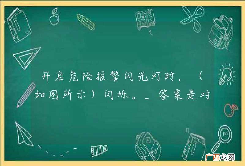 如图所示 开启危险报警闪光灯时，闪烁。_答案是对