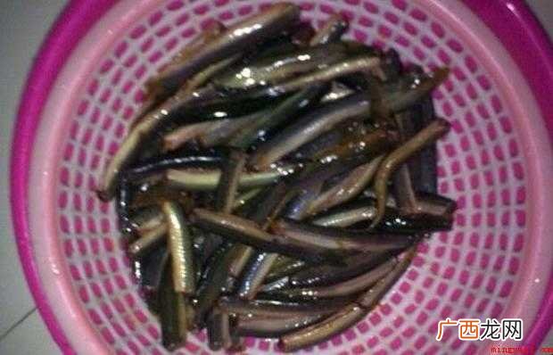 如何制作一盘美味的秘制小泥鳅 秘制小泥鳅怎样做