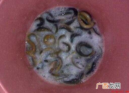 如何制作一盘美味的秘制小泥鳅 秘制小泥鳅怎样做
