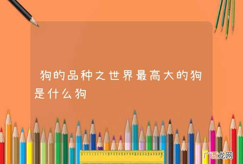 狗的品种之世界最高大的狗是什么狗