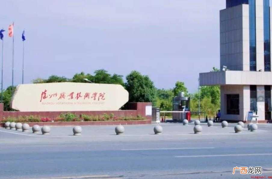 随州职业技术学院是公办还是民办大学