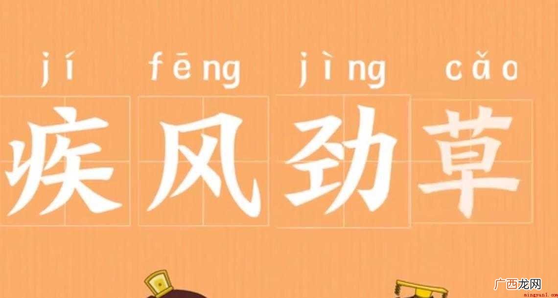 疾风劲草的意思是什么