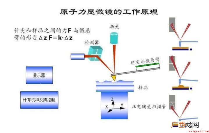 显微镜的工作中原理是什么 显微镜的工作原理是什么