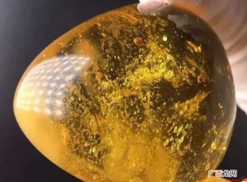 琥珀是一种透明的生物化石 琥珀形成最少需要多少年