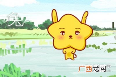 南方生肖有哪几肖,12生肖谁在西南方向？