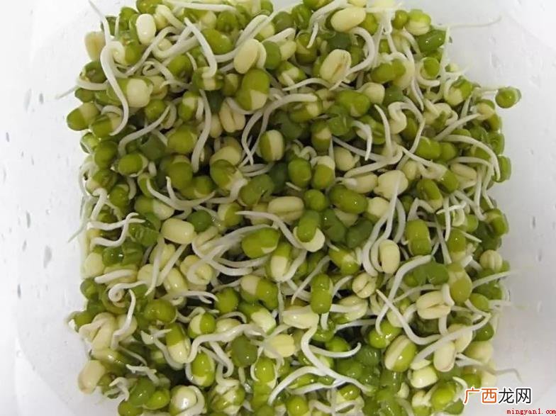 豌豆发芽了还能吃吗_健康频道 豌豆发芽了还能吃吗