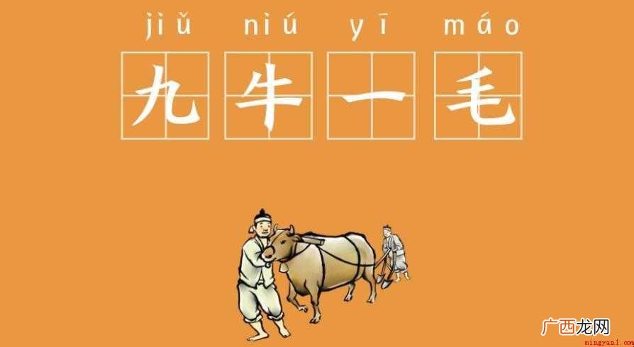九牛一毛的近义词是什么