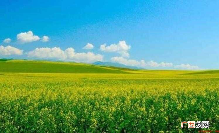 一望无际的意思是什么
