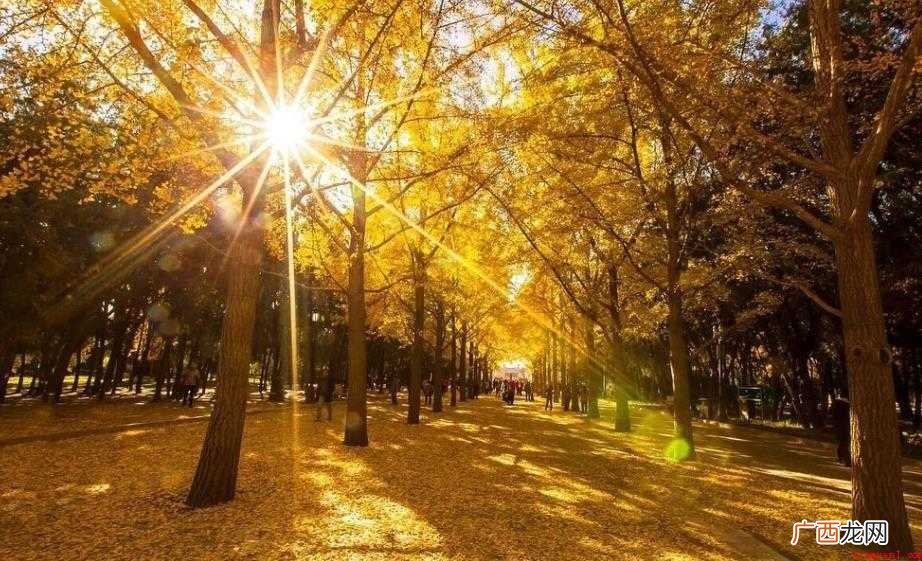 渐渐怎么造句