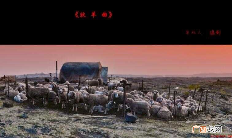 《牧羊曲》的歌词是什么