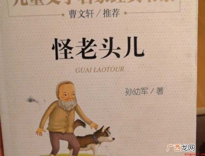 《怪老头儿》读后感怎么写