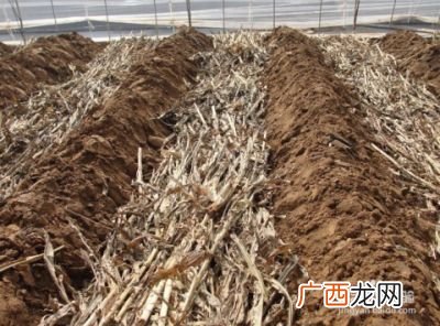 土壤板结如何快速改良,土壤板结怎么变松？