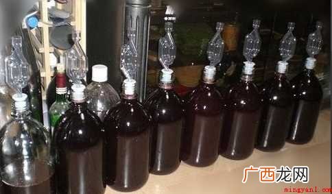 桑葚酒怎样酿制