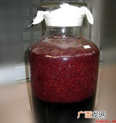 桑葚酒怎样酿制