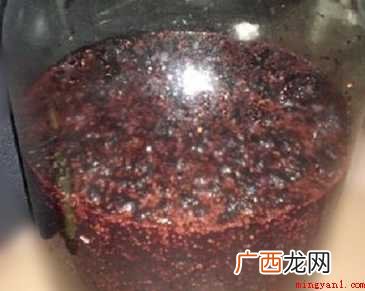 桑葚酒怎样酿制
