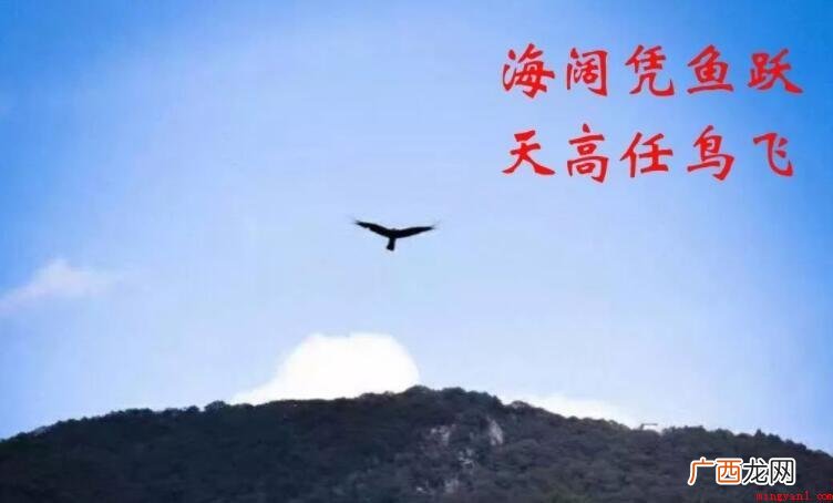 海阔凭鱼跃下一句是什么