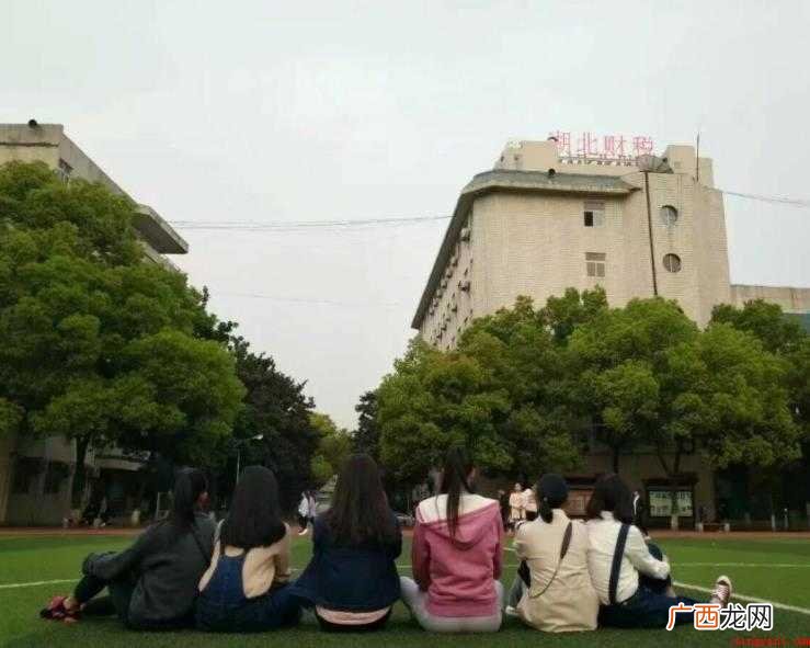 湖北财税职业学院是公办还是民办