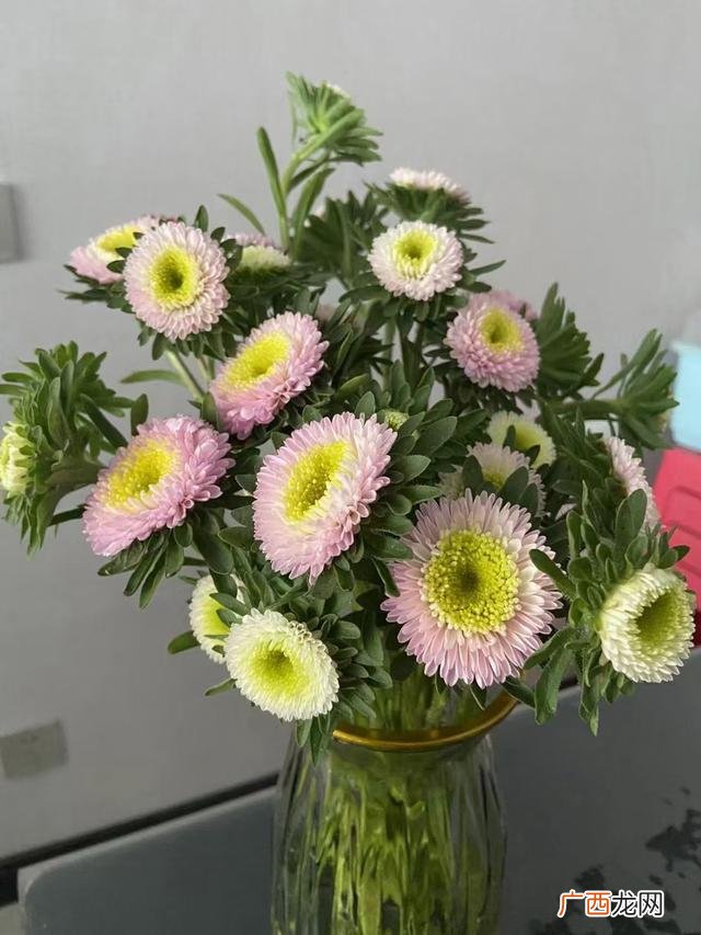 林徽因怎么读,林徽因经典语录如果做不了夫妻？