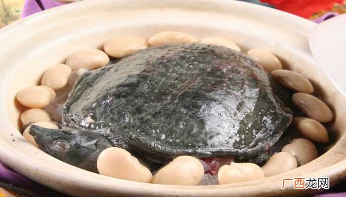 梦见很多甲鱼是什么意思