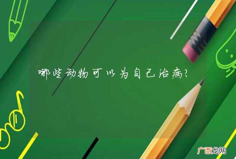 哪些动物可以为自己治病？