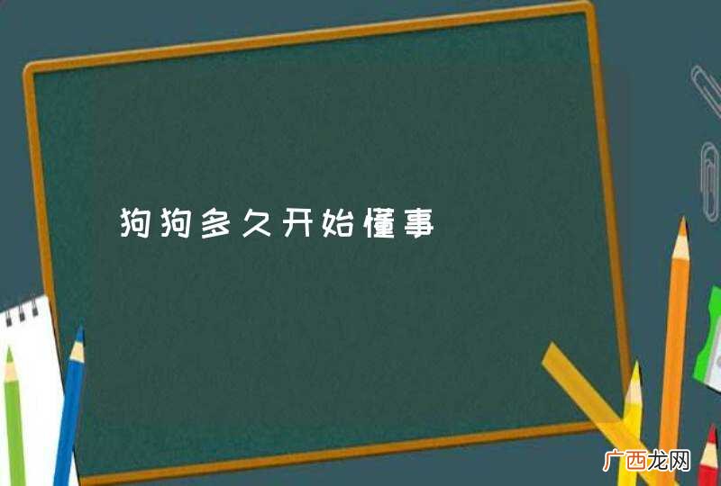 狗狗多久开始懂事