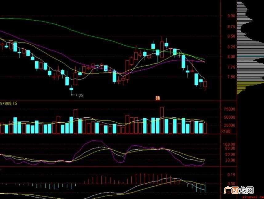 股票xd这是什么意思? 股票xd是什么意思