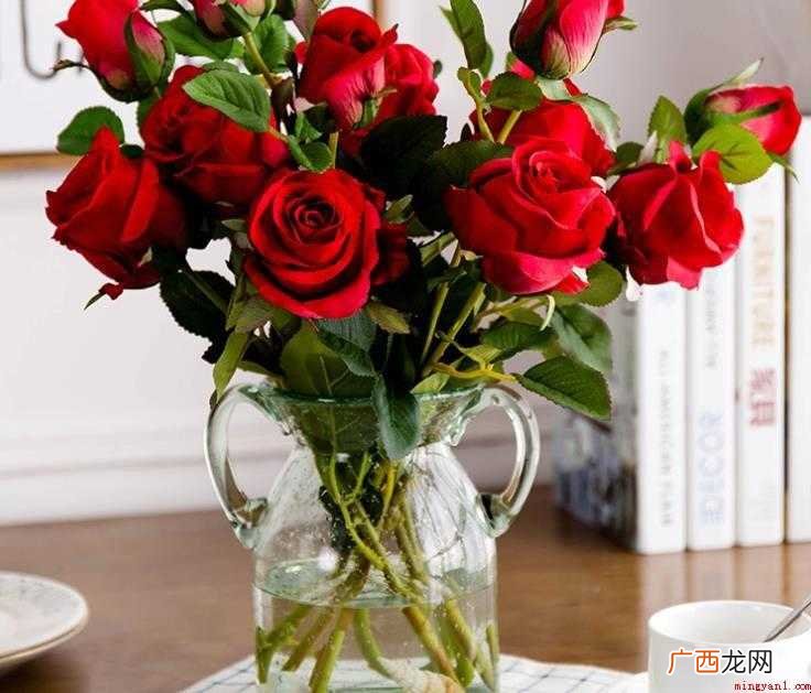 玫瑰水培怎么长期饲养? 玫瑰花水培怎么才能养的久一点