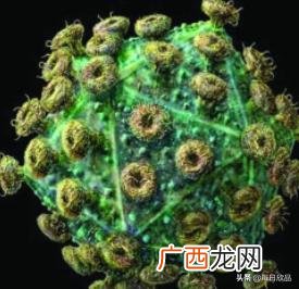 丙类传染病包括哪些,法定传染病的种类和分类有哪些？