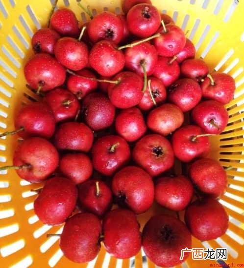 冰糖葫芦怎样做【图文】 冰糖葫芦怎样做