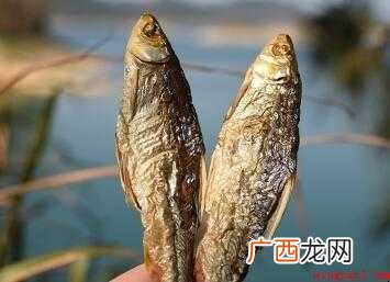 鱼干要怎样做