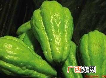 佛手瓜怎样做才好吃