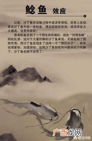 心理效应有哪些,心理学中的十大效应都是什么？