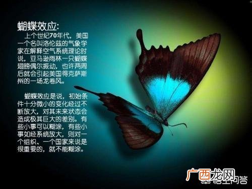 心理效应有哪些,心理学中的十大效应都是什么？