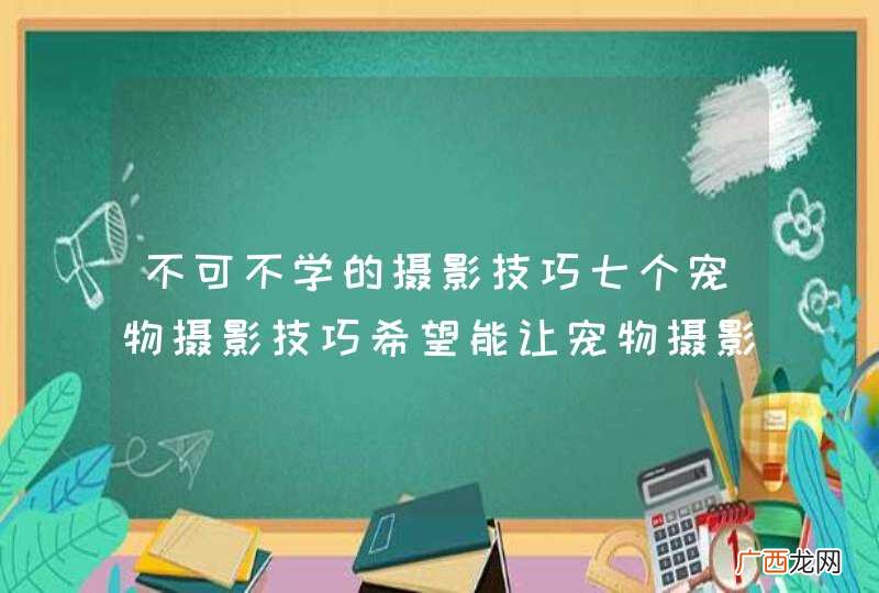 不可不学的摄影技巧七个宠物摄影技巧希望能让宠物摄影更加有趣
