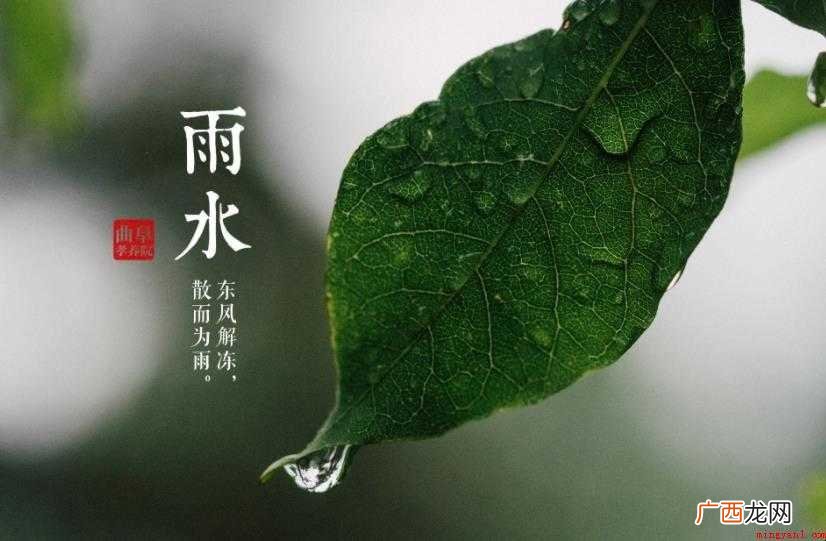 雨水节气的习俗有什么? 雨水节气的习俗有哪些