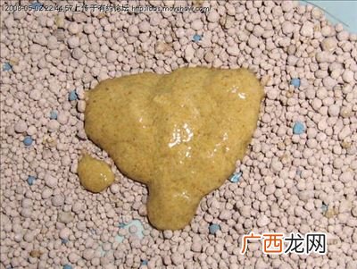吃什么容易排大便,吃什么好通便?
