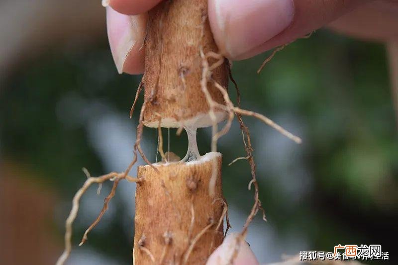山药粉多少钱一斤,为什么山药粉那么贵？